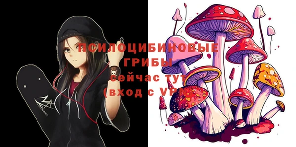 герыч Аркадак
