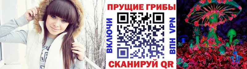 Псилоцибиновые грибы MAGIC MUSHROOMS  Суворов 